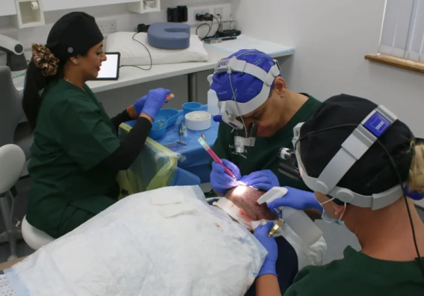 The hair transplant timeline, month by month
