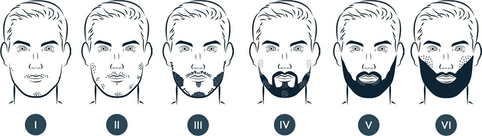 Morphological Classification of Beard Hairs